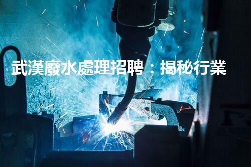 武漢廢水處理招聘：揭秘行業(yè)內(nèi)幕，你不明白的就業(yè)機(jī)會？